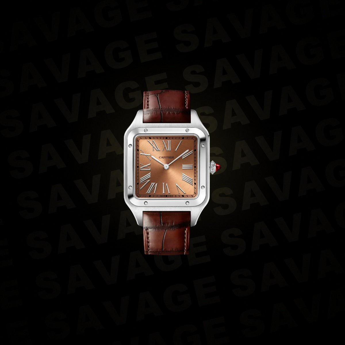 Cartier Santos-Dumont